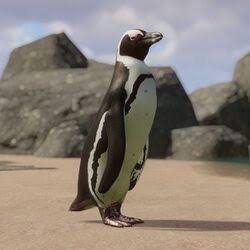 Planet Zoo